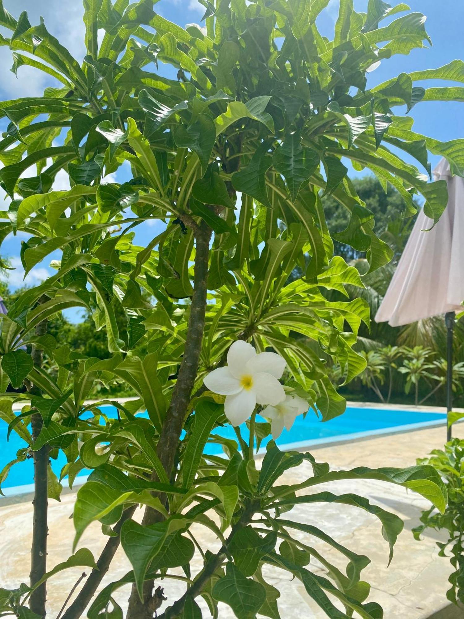 Embe Lodge キジカジ エクステリア 写真