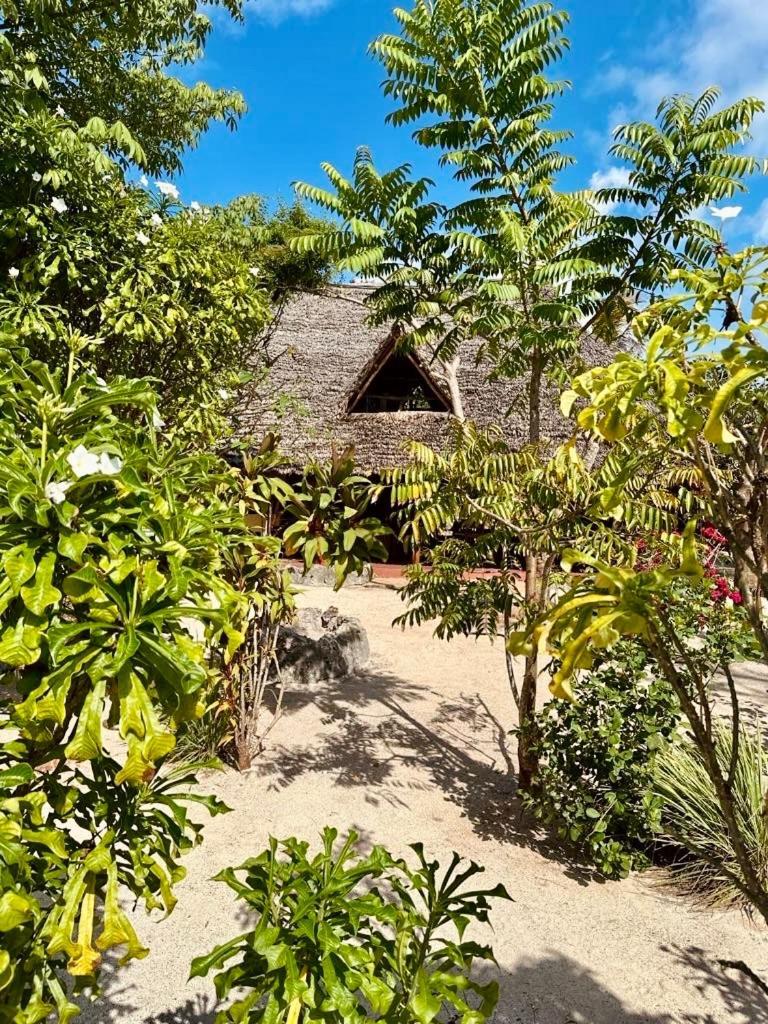 Embe Lodge キジカジ エクステリア 写真